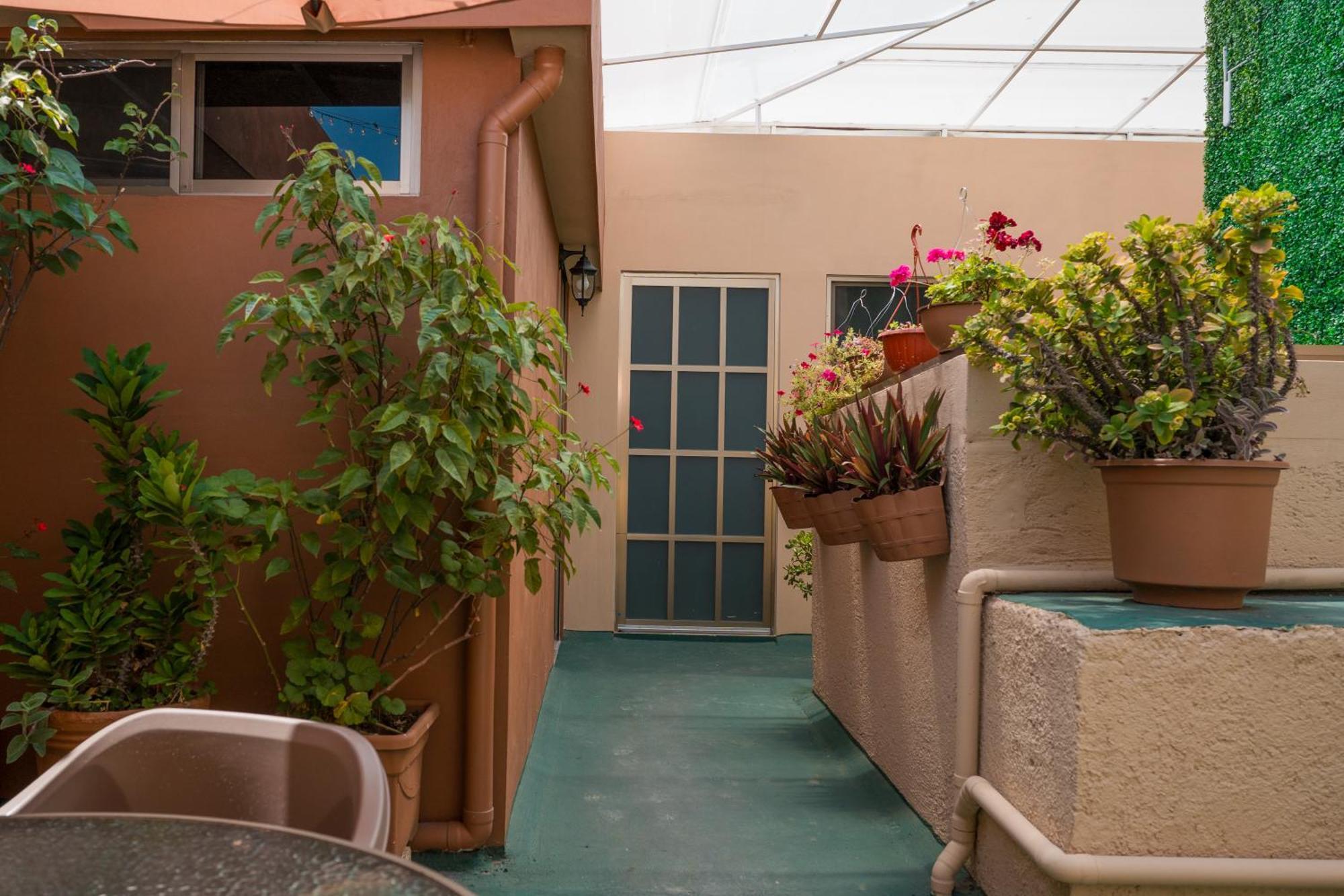 Oaxaca Hotel Don Nino מראה חיצוני תמונה